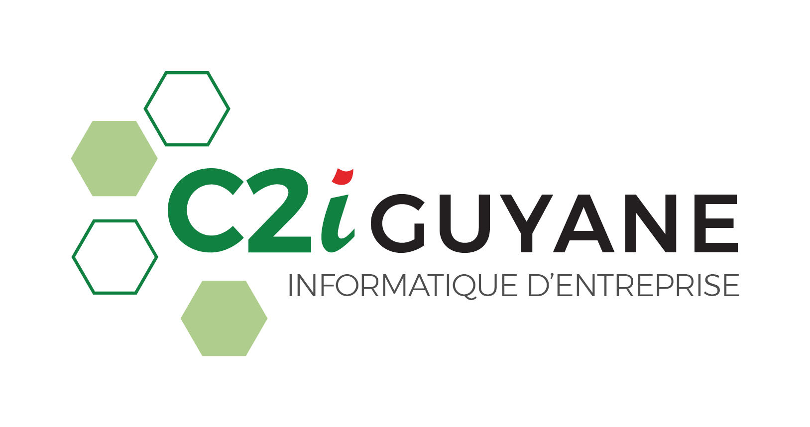 omy emploi - C2I GUYANE